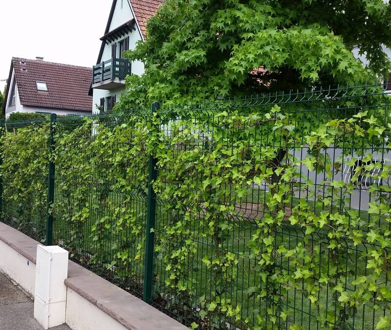 Les Jardins Herzog Illkirch-Graffenstaden 23