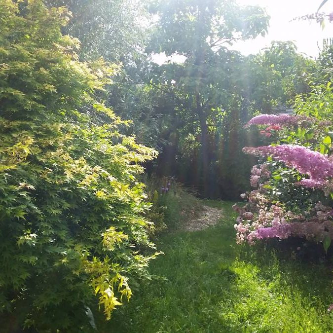 Les Jardins Herzog, paysagiste &agrave; Mittelbergheim pr&egrave;s d’Obernai Colmar 3