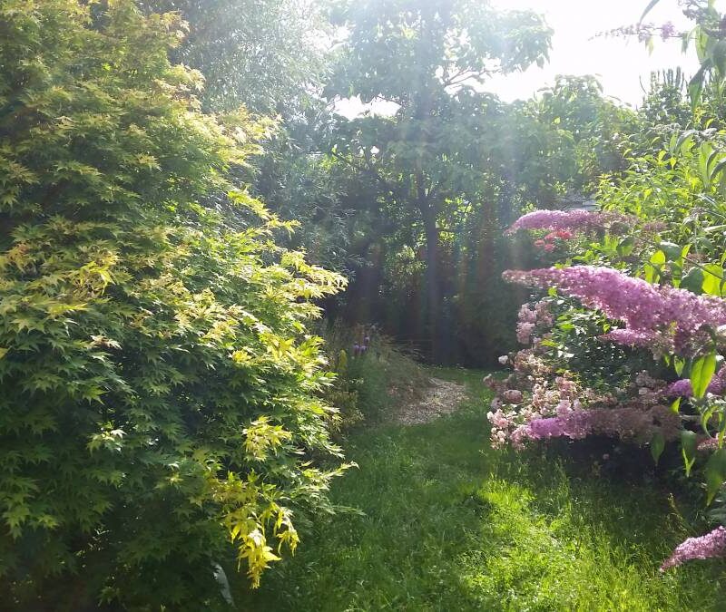 Les Jardins Herzog Erstein 28